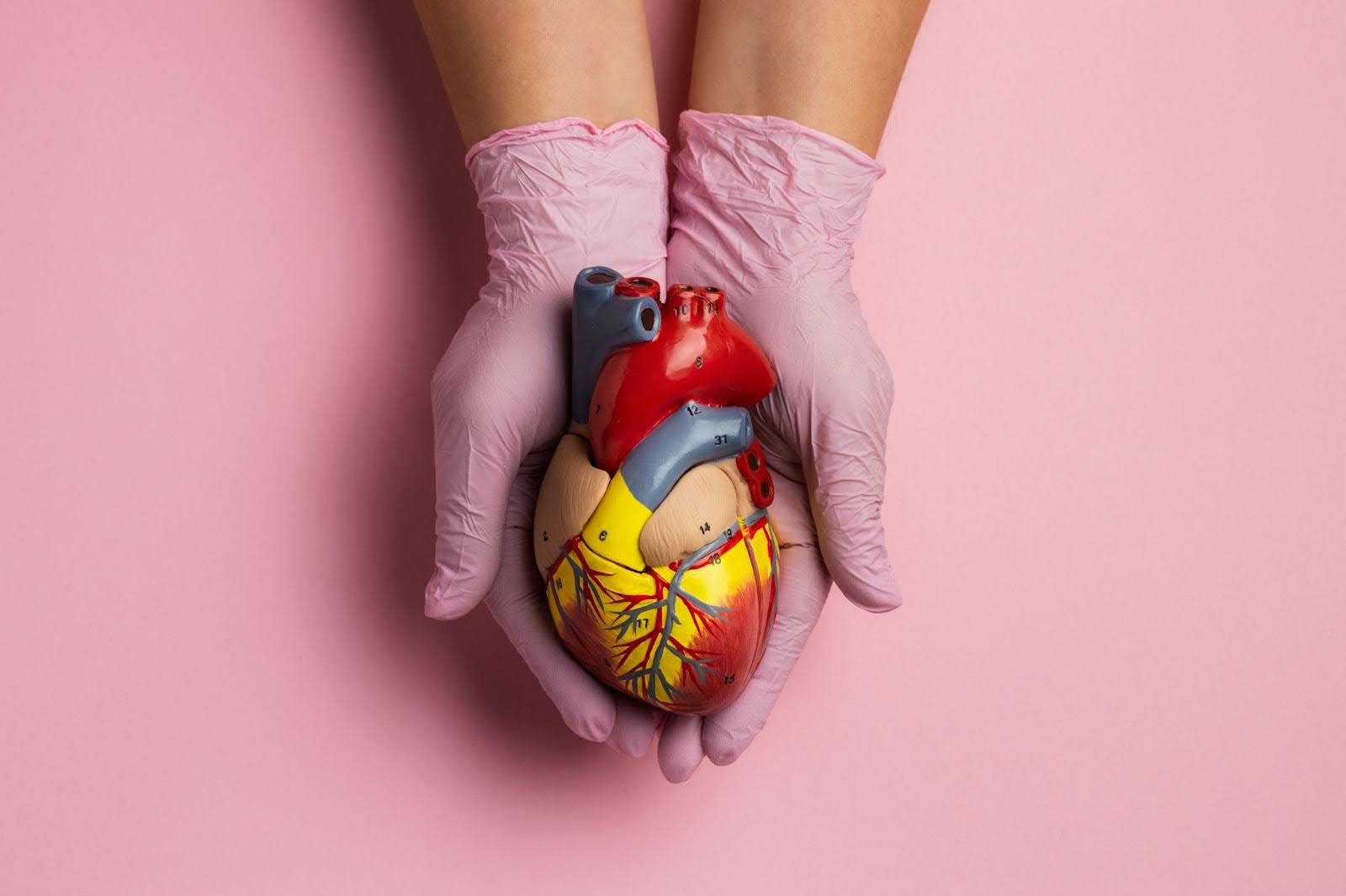 Donating Organs After Death 0 What Singapore Law Says