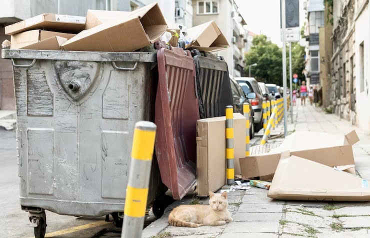 High-Rise Littering In Singapore: What You Need to Know