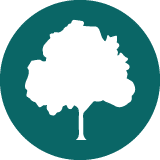 Tembusu Law LLC Icon