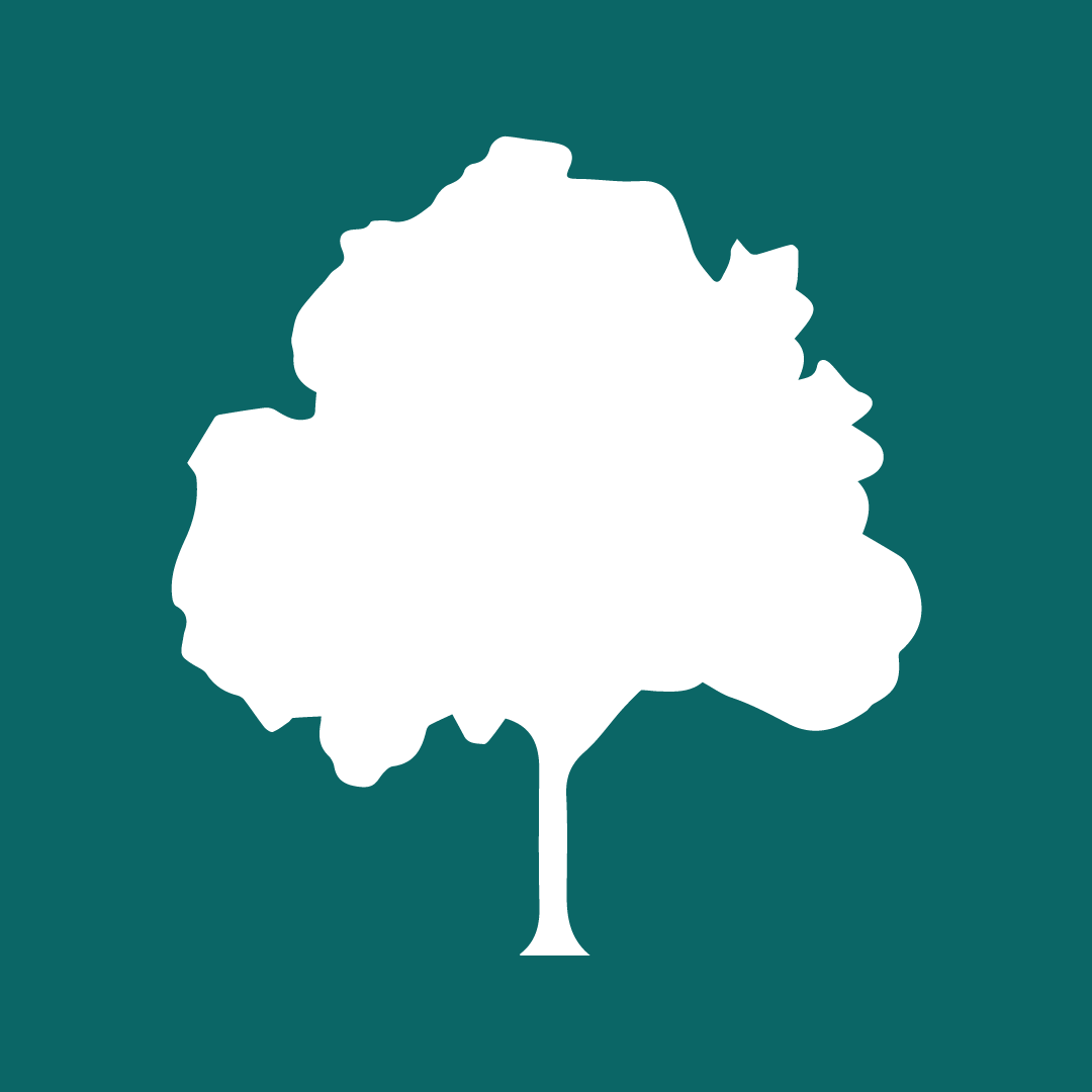 tembusu law square logo